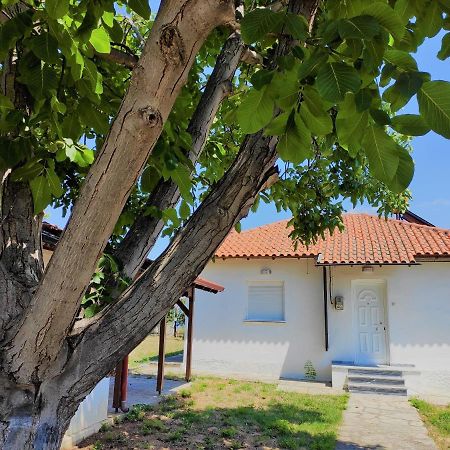 White Clam Vintage House With Sea View & Garden Villa Makrygialos Exterior foto