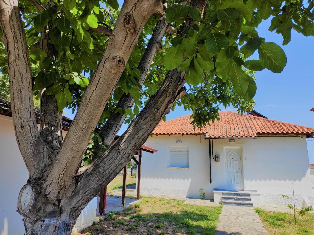 White Clam Vintage House With Sea View & Garden Villa Makrygialos Exterior foto