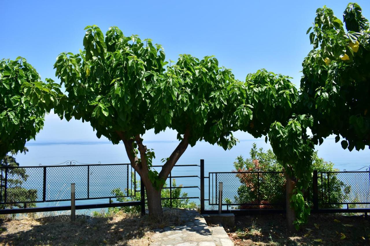 White Clam Vintage House With Sea View & Garden Villa Makrygialos Exterior foto